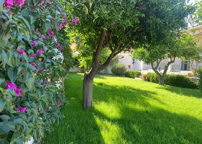 Il Giardino Di Angelo * Cava dʼAliga